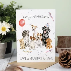Wrendale Greeting Cards|Round of A-Paws Dog Birthday Card