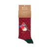 Wrendale Socks|'Season's Tweetings' Robin Men's Socks