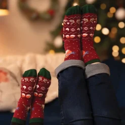 Wrendale Socks|Childrenswear|'Season's Tweetins' Robin Children's Large Sock