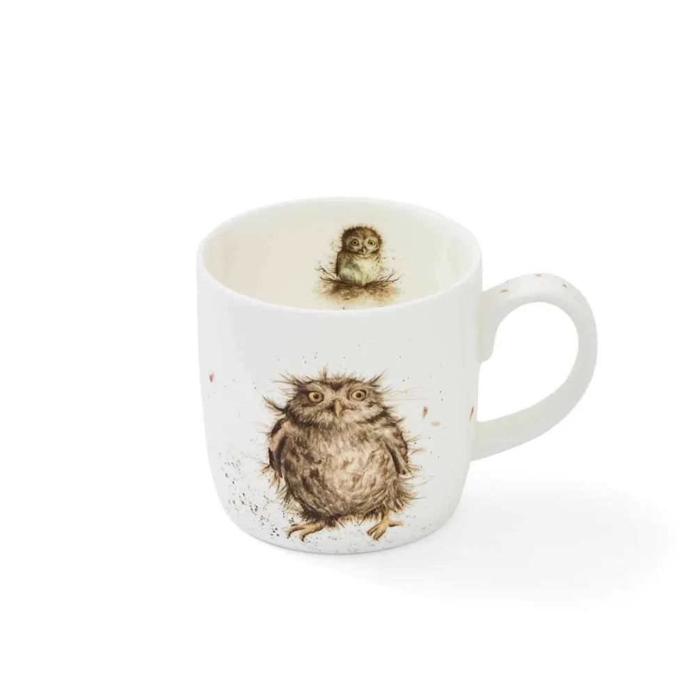 Wrendale Assorted Mugs|What A Hoot Owl Small Mug