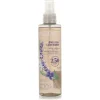 Women Yardley London Women's Fragrance|English Lavender Body Mist, 200ml